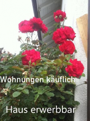 Ferienhaus Haus Kellerhof mit zwei Ferienwohnungen und Garten zu verkaufen Probewohnen möglich